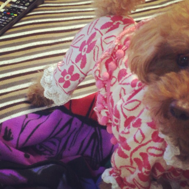 今日のご褒美、至福の時