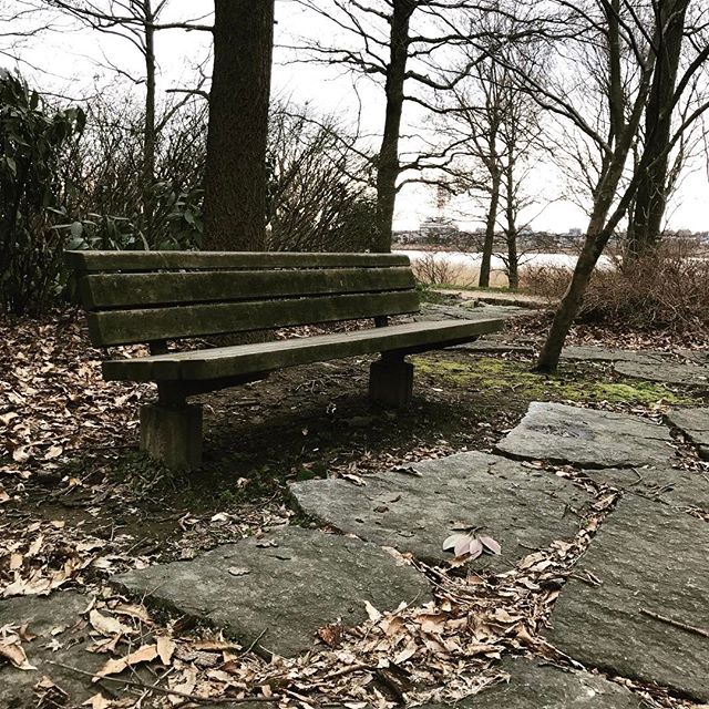 dkstudio Instagram Image