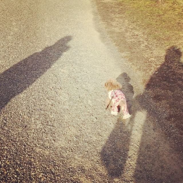 dkstudio Instagram Image