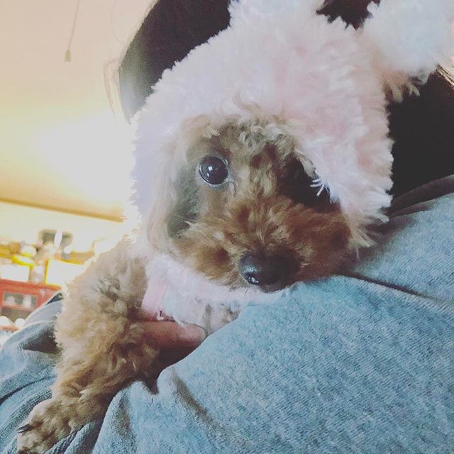 dkstudio Instagram Image