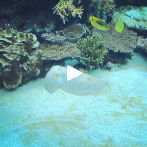 dkstudio Instagram Image