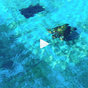 dkstudio Instagram Image