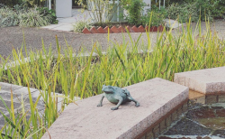 国営越後丘陵公園