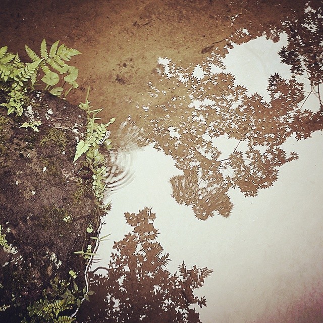 Kamoyama park 2014.06.22