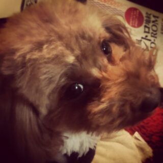 dkstudio Instagram Image