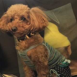 dkstudio Instagram Image