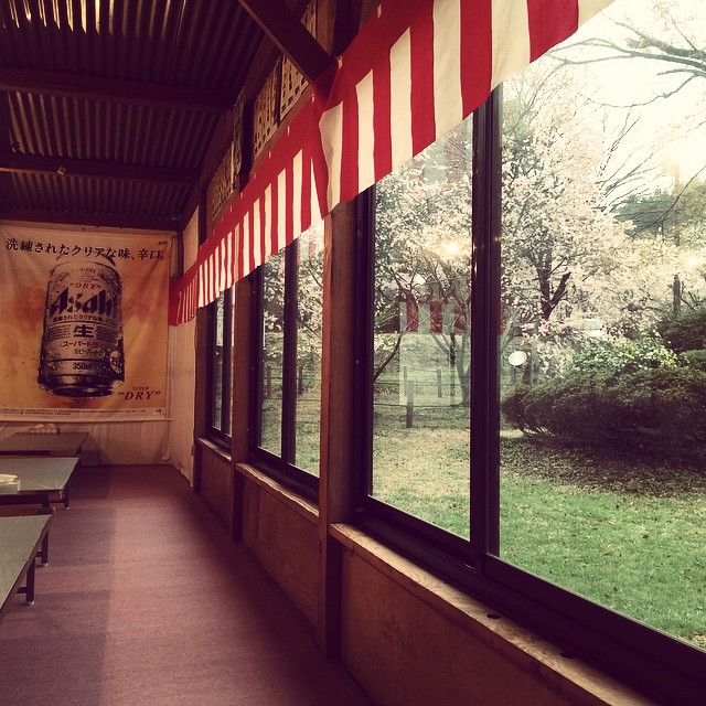 Sakura fes at Muramatsu Park