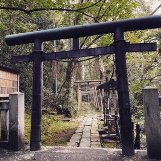 dkstudio Instagram Image