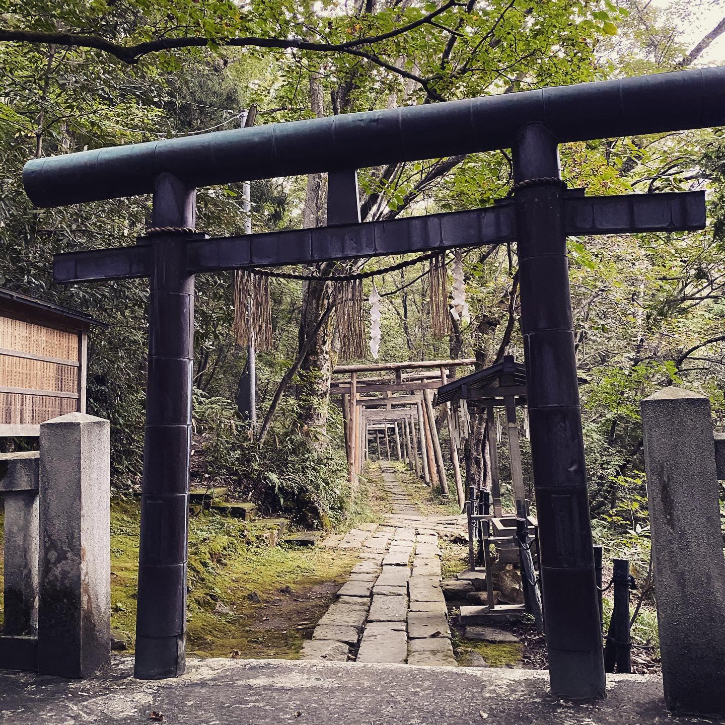 dkstudio Instagram Image