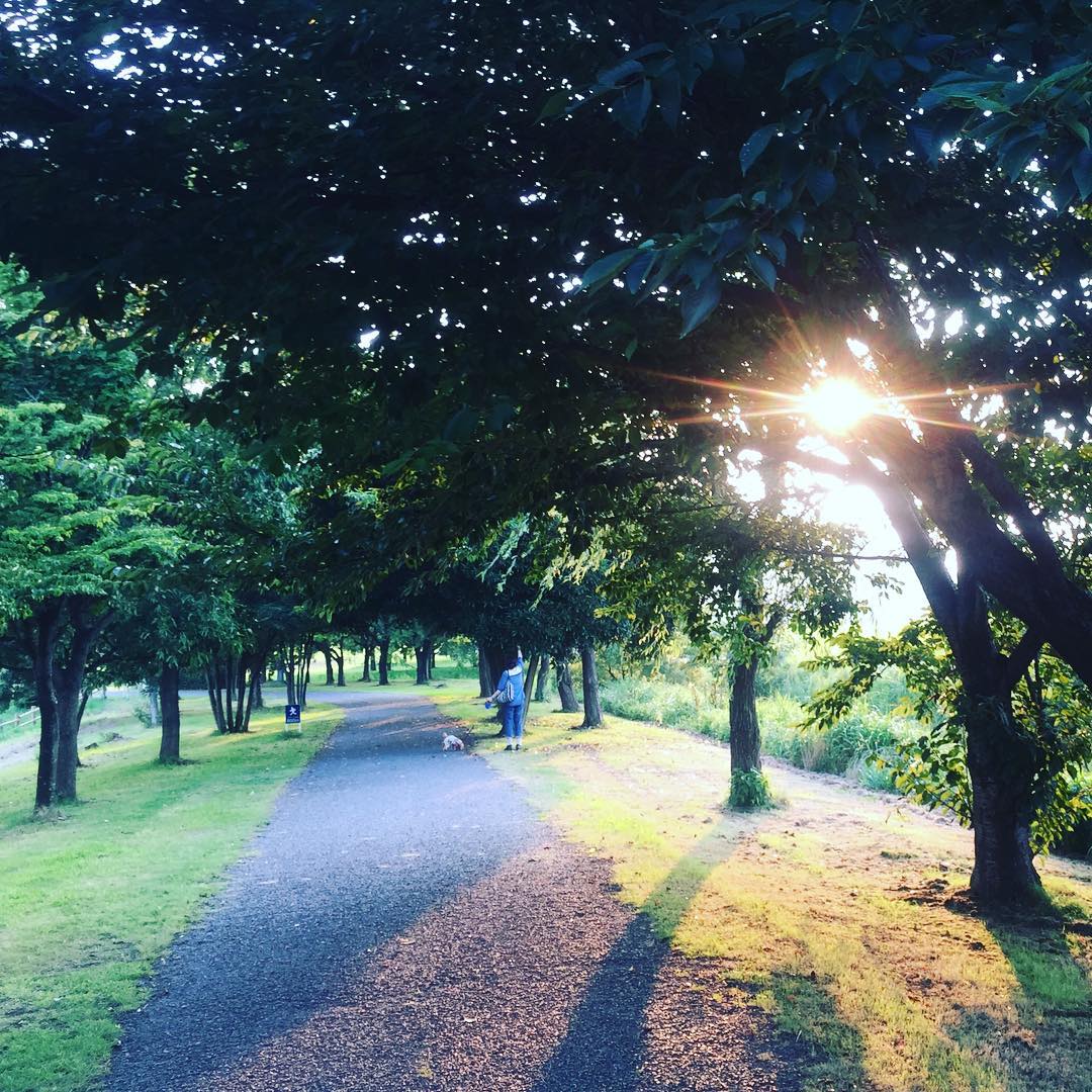 dkstudio Instagram Image