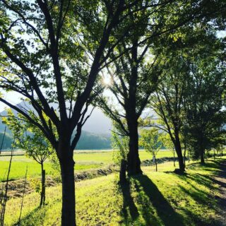 dkstudio Instagram Image