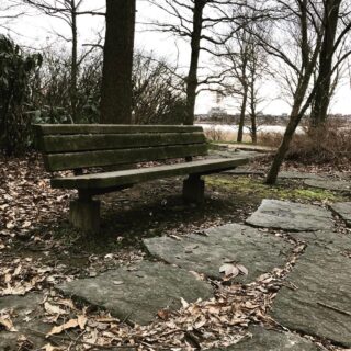 dkstudio Instagram Image