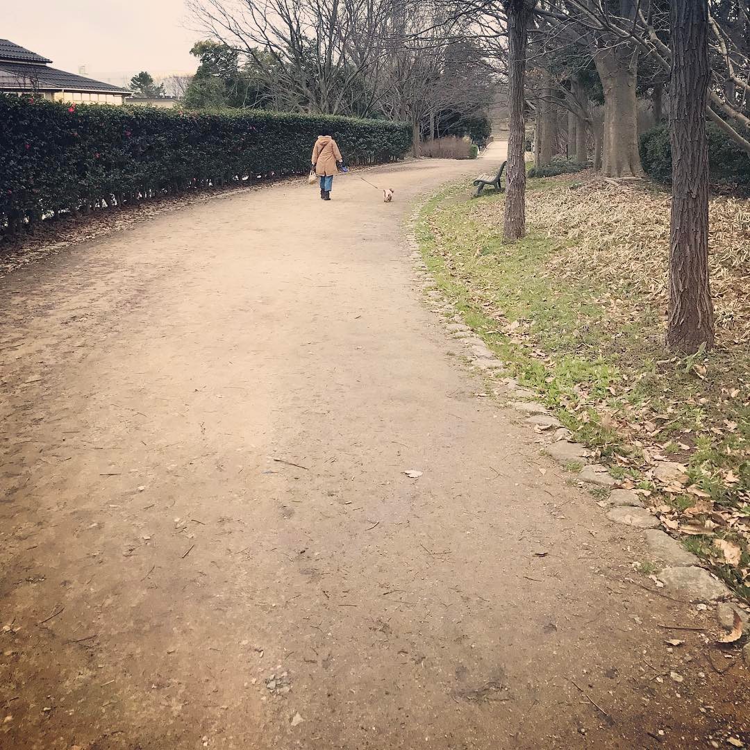 dkstudio Instagram Image