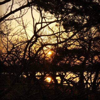 dkstudio Instagram Image