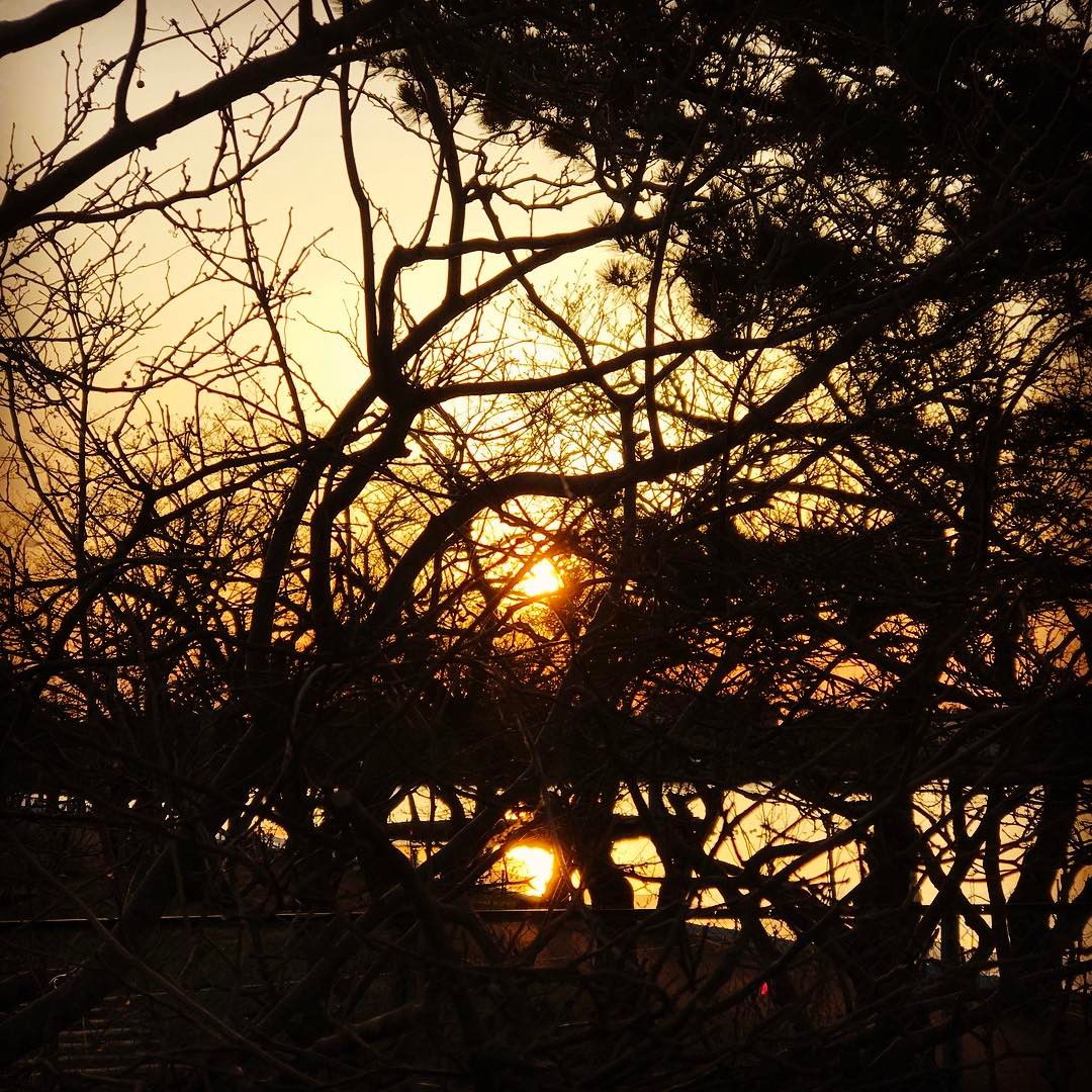 dkstudio Instagram Image