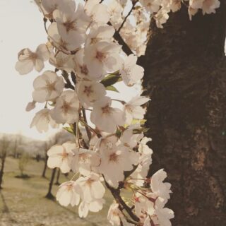 dkstudio Instagram Image