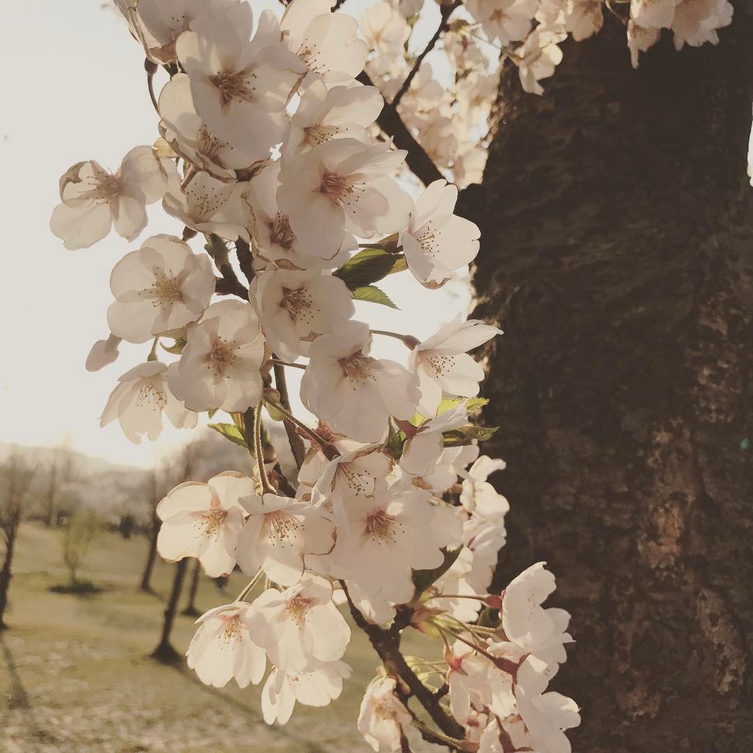 dkstudio Instagram Image