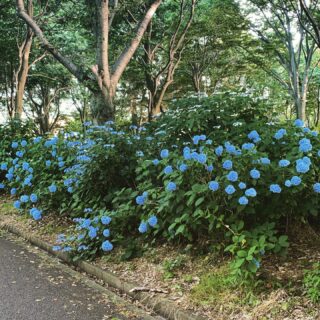 dkstudio Instagram Image