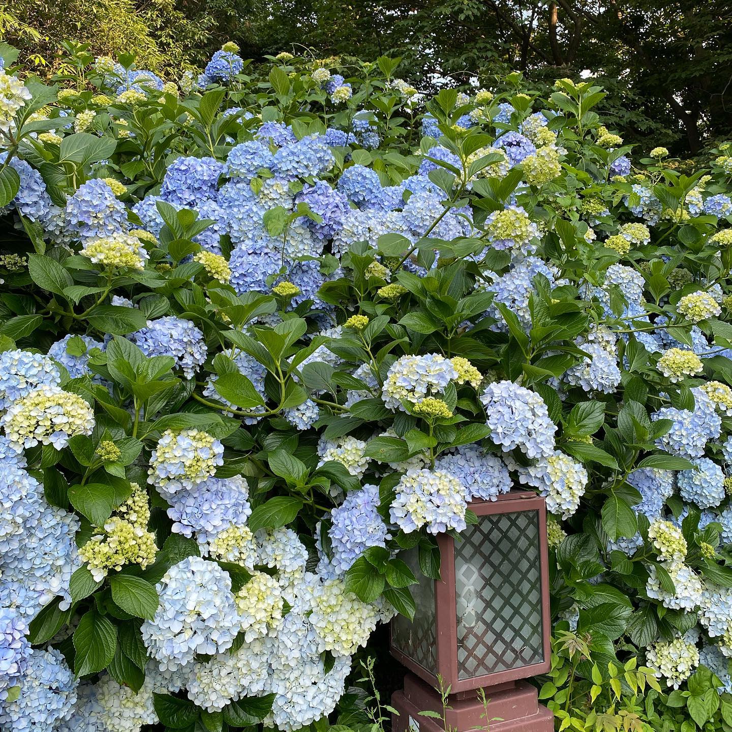 dkstudio Instagram Image