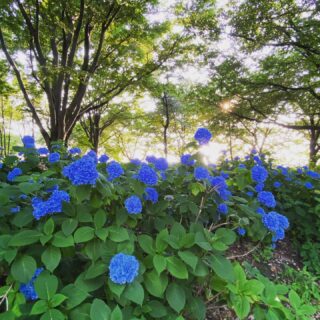 dkstudio Instagram Image