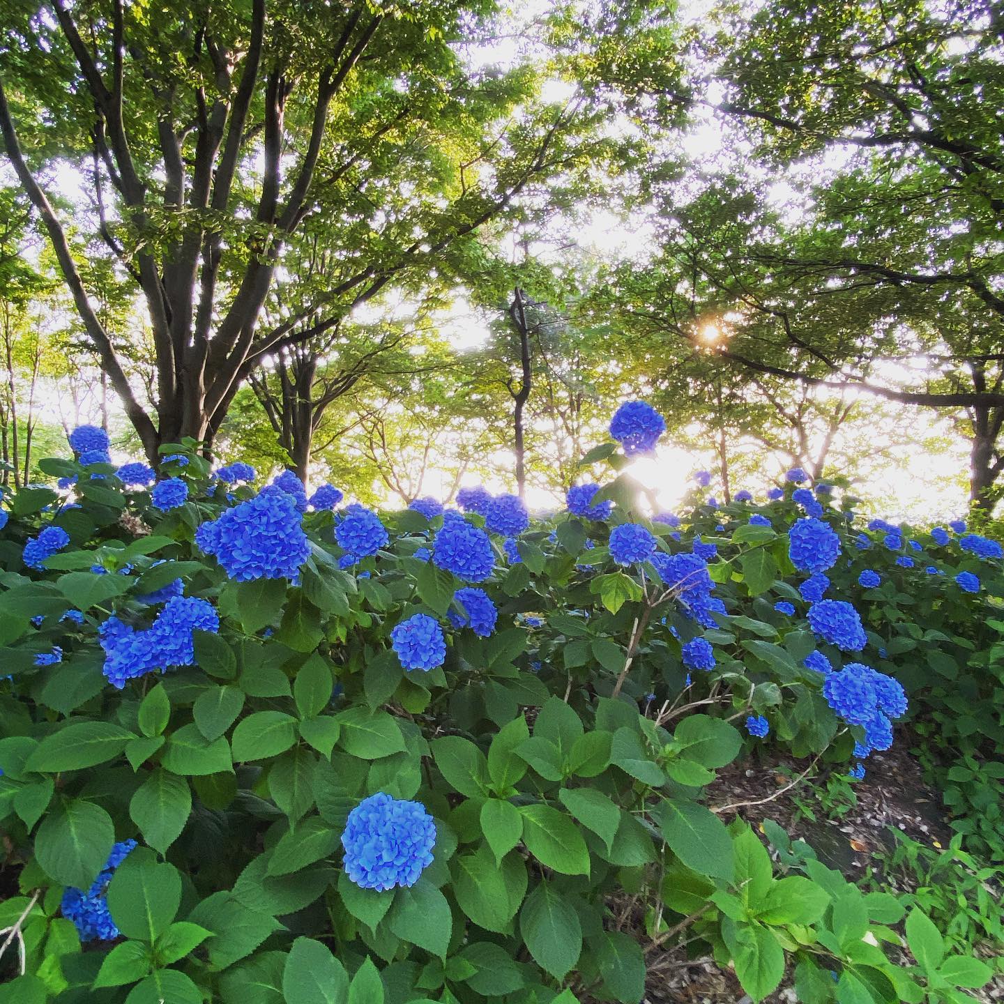 dkstudio Instagram Image