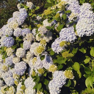 dkstudio Instagram Image