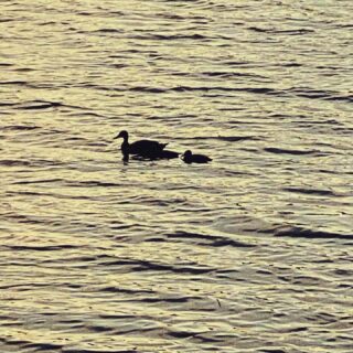 dkstudio Instagram Image