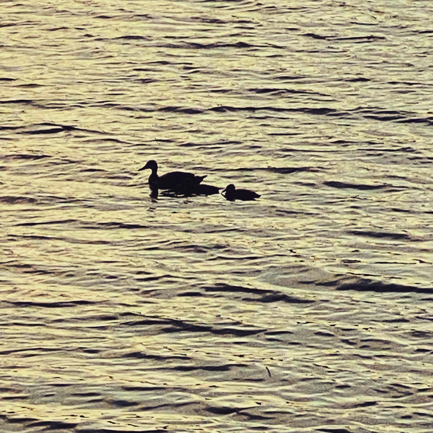 dkstudio Instagram Image