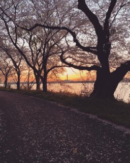 休日の夕ごはん時間