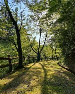 dkstudio Instagram Image