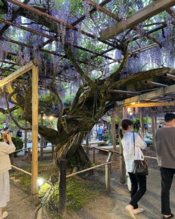 dkstudio Instagram Image