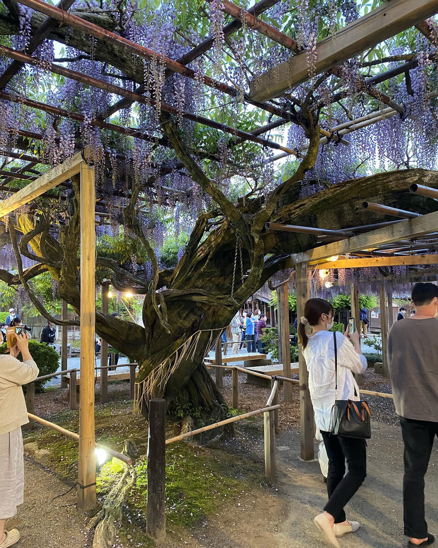 dkstudio Instagram Image