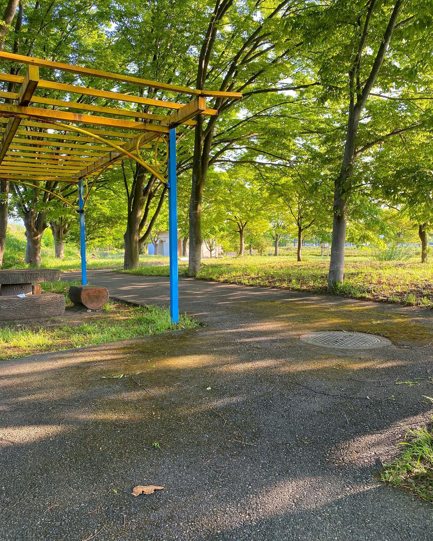 dkstudio Instagram Image