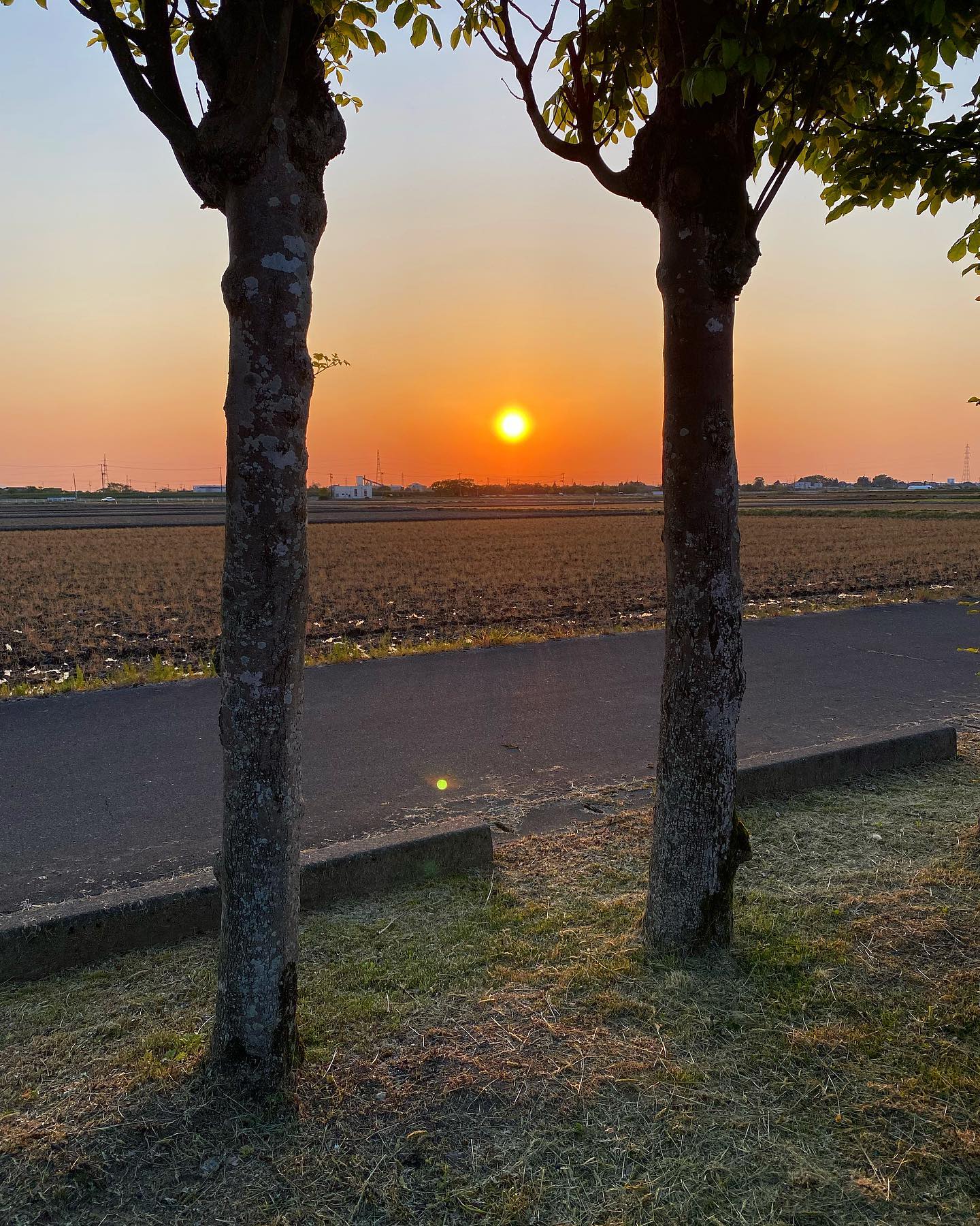 dkstudio Instagram Image