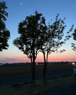 dkstudio Instagram Image