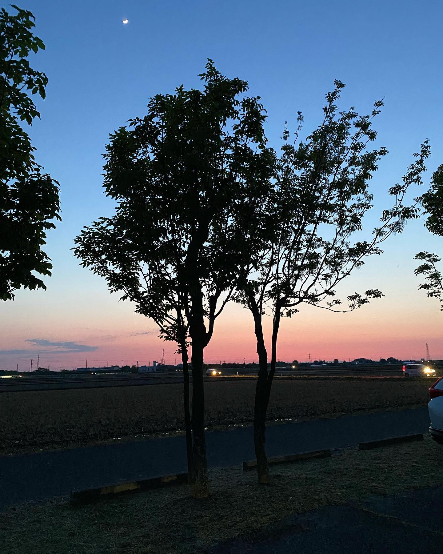 dkstudio Instagram Image