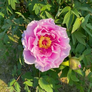 dkstudio Instagram Image