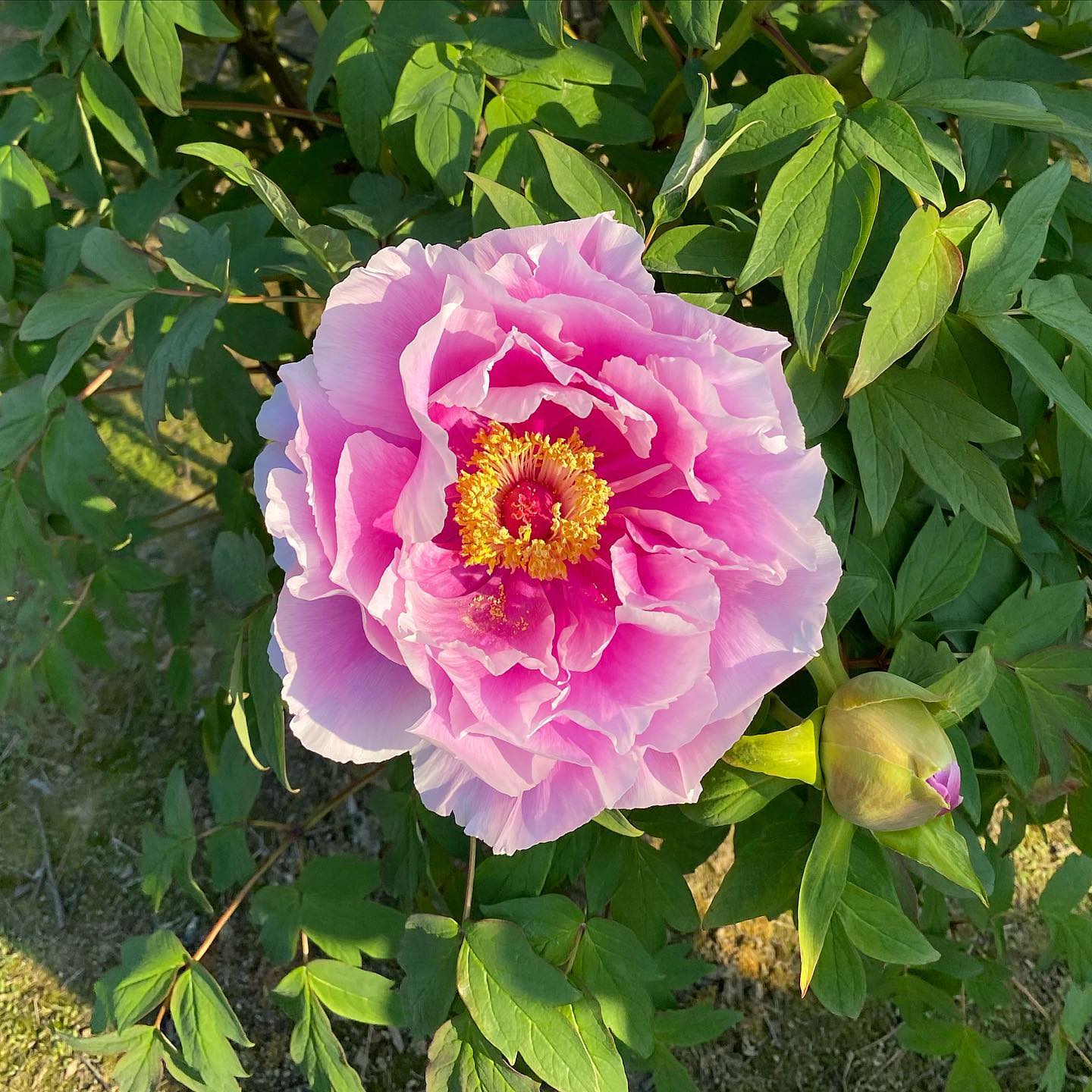 dkstudio Instagram Image