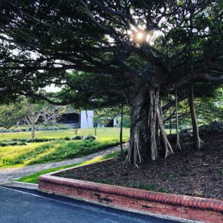 dkstudio Instagram Image