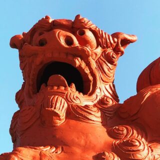 dkstudio Instagram Image