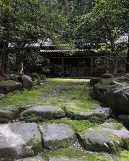 dkstudio Instagram Image