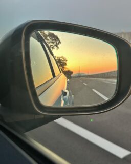 秋のサイドミラー01