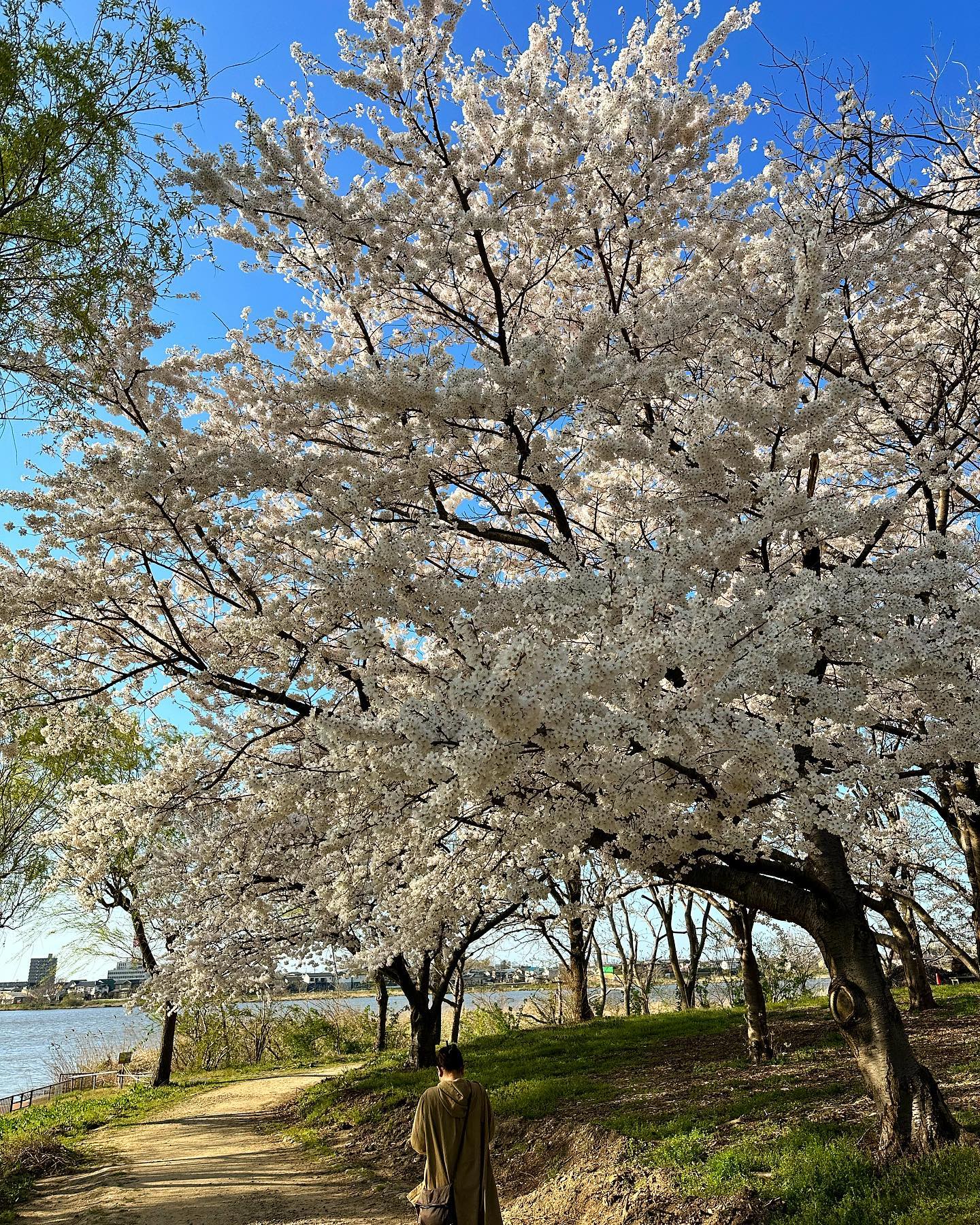 dkstudio Instagram Image