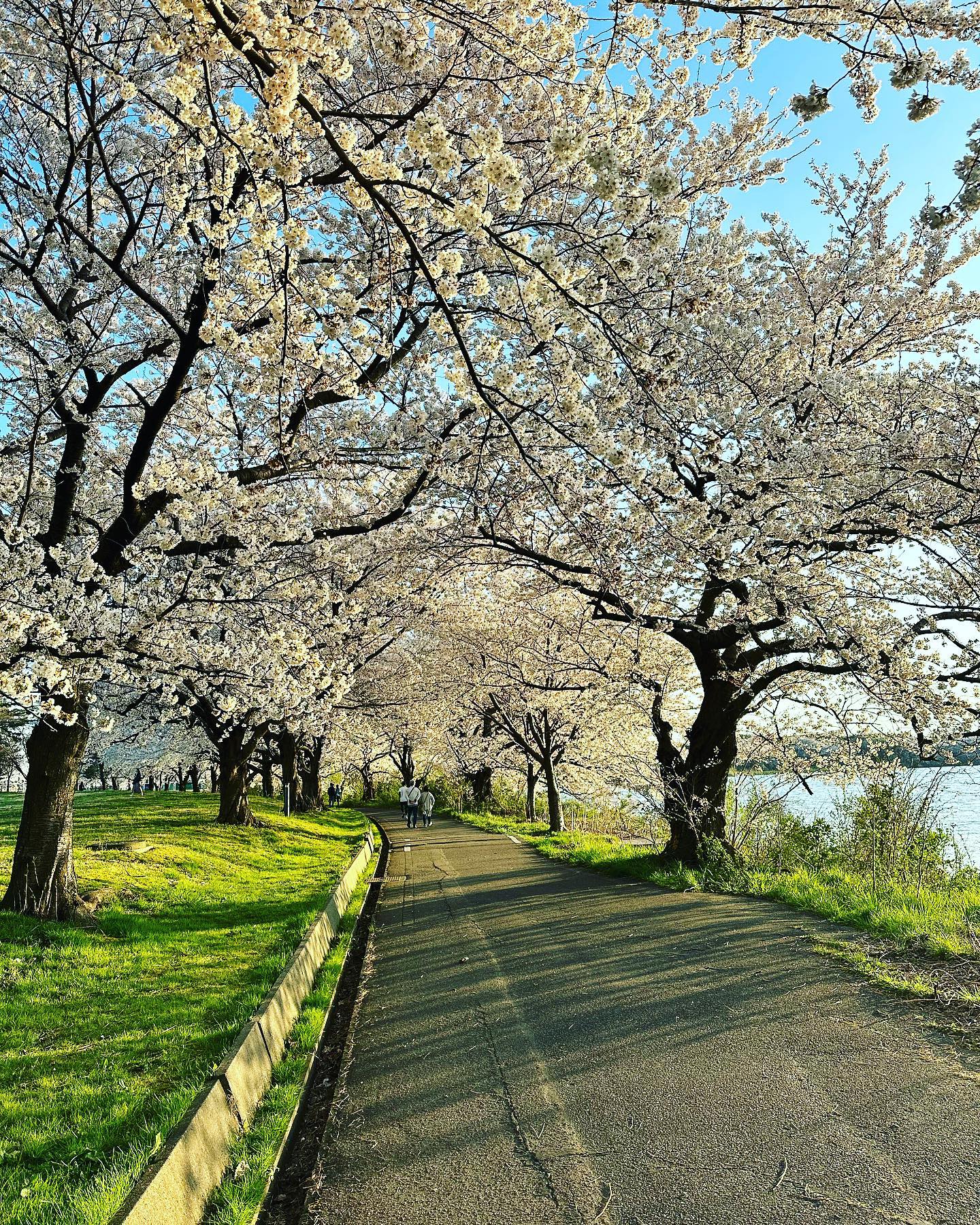 dkstudio Instagram Image