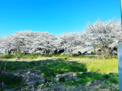 dkstudio Instagram Image