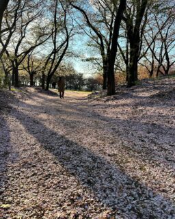 dkstudio Instagram Image