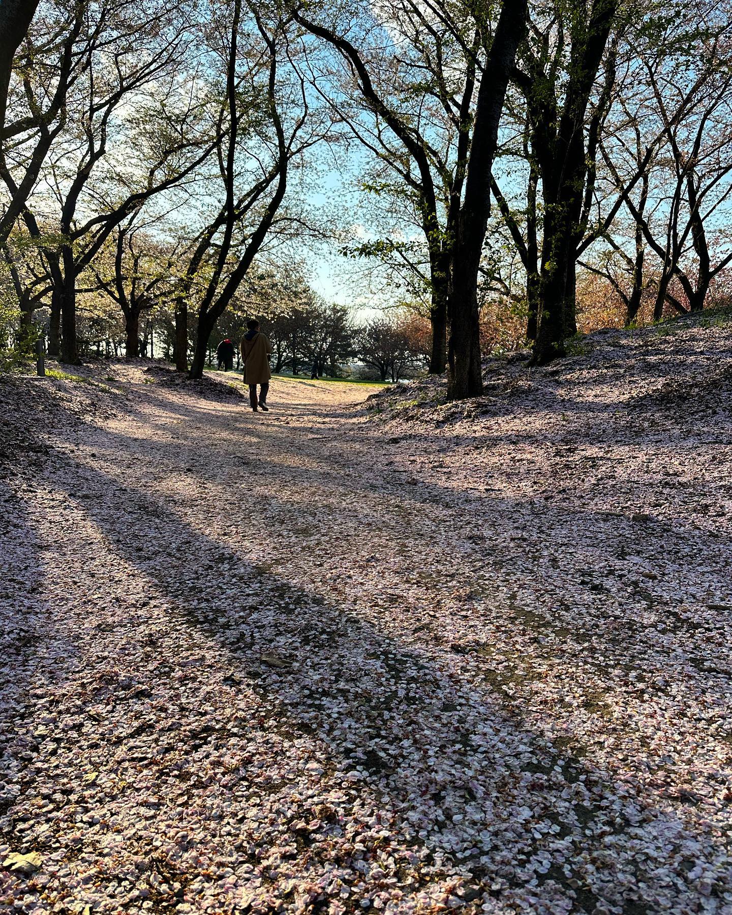 dkstudio Instagram Image