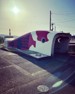 スイミーあげよう