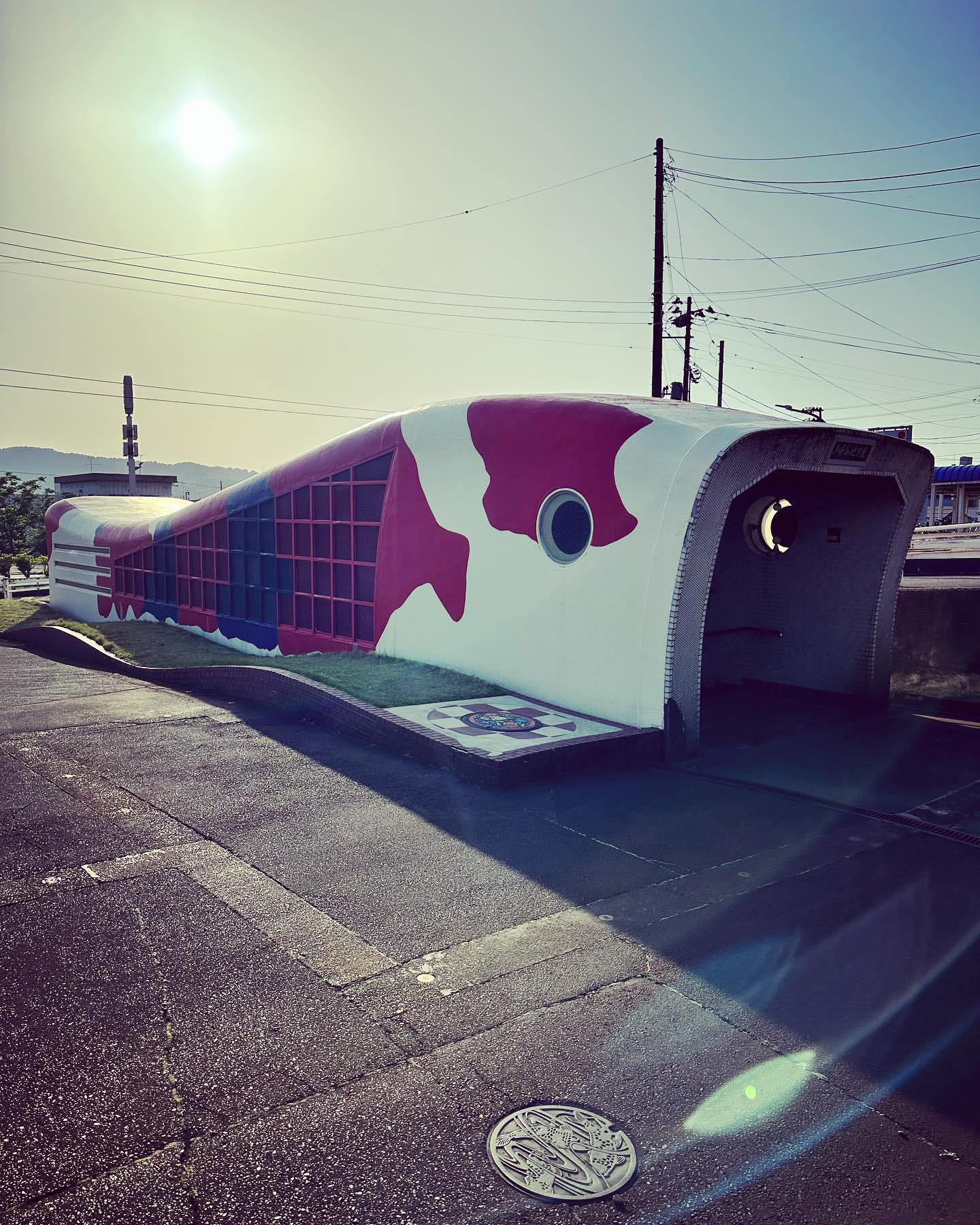 スイミーあげよう