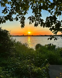 昨日今日と20キロ近く歩いた。走るほどじゃないけど汗かいた。水と緑の空気は元気もらえます。